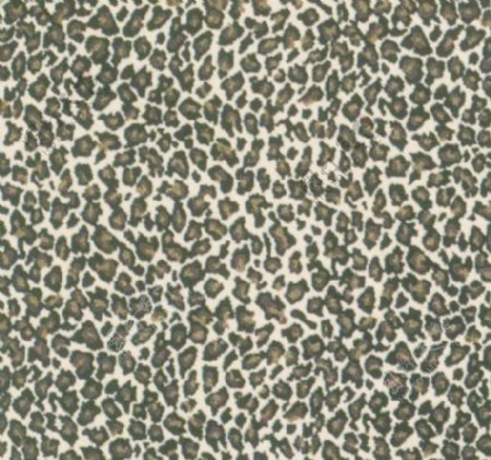 51054地毯虎豹