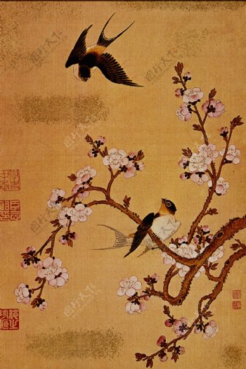 花鸟名画中国古藏0005
