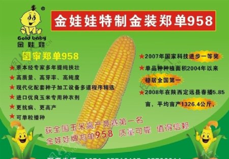 金娃娃玉米种子海报宣传