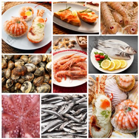 各种海鲜和外国美食