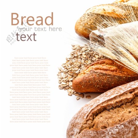 面包与麦片