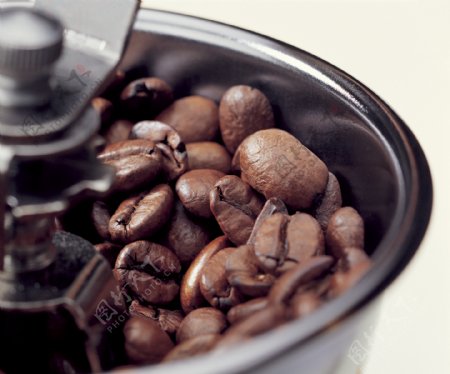 打磨机里的咖啡豆写真图片图片