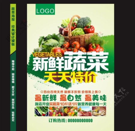 蔬菜海报美食新鲜宣传