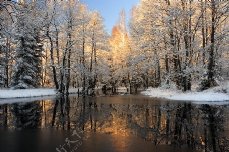 冬天树林湖泊风景