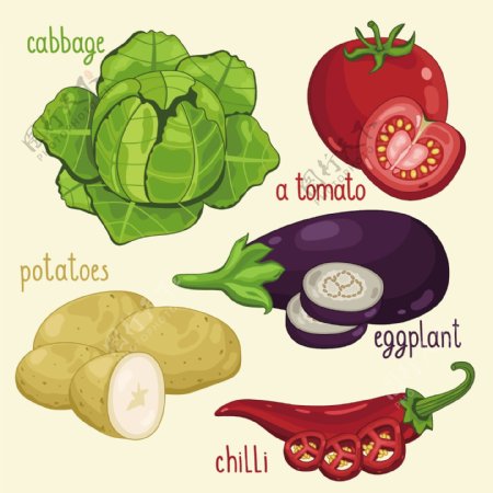 5款常见蔬菜设计矢量素材