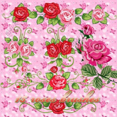 漂亮鲜艳的矢量玫瑰花PS笔刷