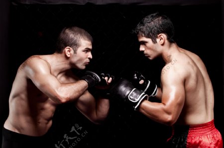对峙的拳击运动员图片