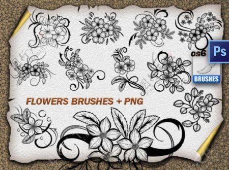 精美漂亮的手绘鲜花图案Photoshop花纹笔刷