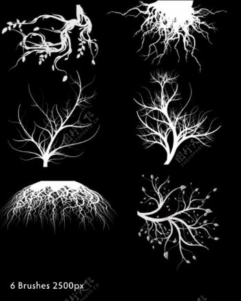 树木树根艺术花纹效果photoshop笔刷下载