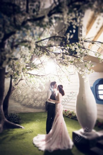 韩式欧式中式婚纱照图片