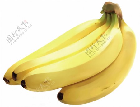 插画香蕉