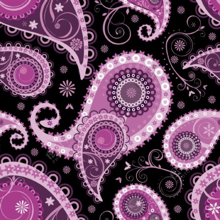 紫色火腿纹花纹
