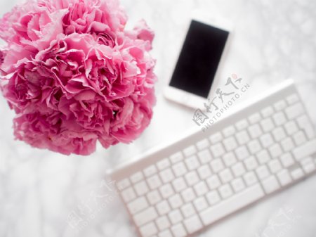 花朵键盘手机组合简单干净背景