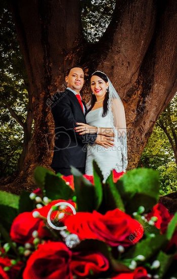 大树下拍婚纱照的夫妻