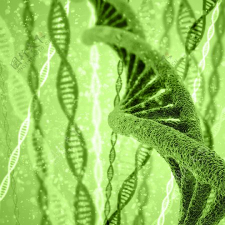 绿色DNA双螺旋结构图片