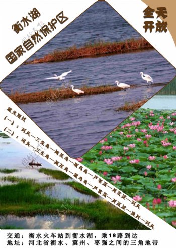 衡水湖国家自然保护区
