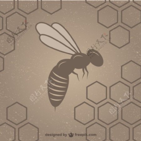 蜂巢蜂巢背景模板