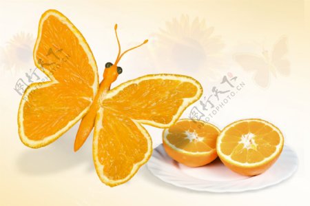 黄色创意橙子图片