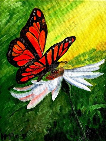 白色的花朵和蝴蝶艺术绘画
