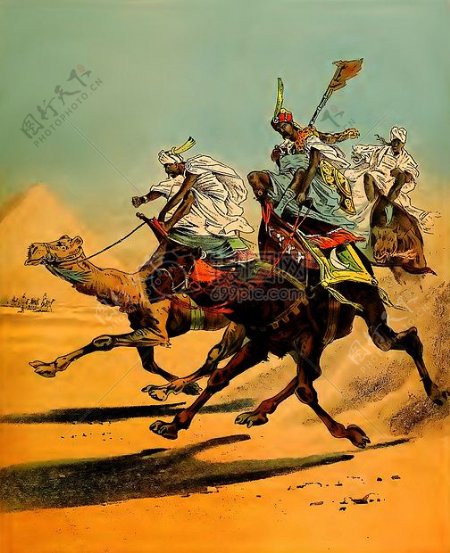 沙漠骆驼比赛