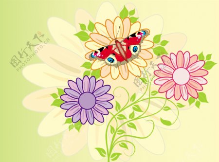 蛾子与花朵2