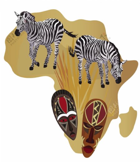 非洲斑马