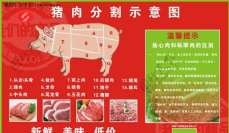猪肉分割图猪流感放心肉