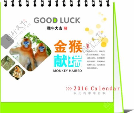 清新绿色猴年挂历图片