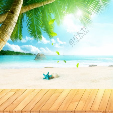 夏日酷爽沙滩背景免费下载