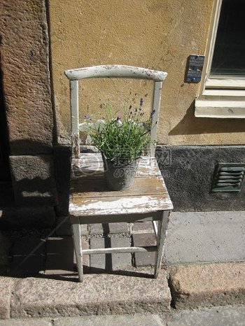 阳光下的木椅