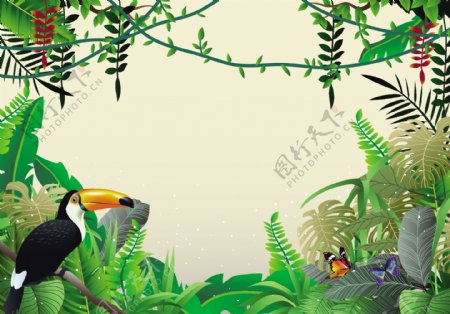 热带丛林和Liana漂亮的插图