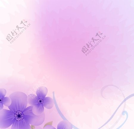 直通车紫色花朵背景