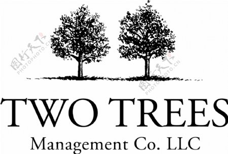 两棵树logo设计