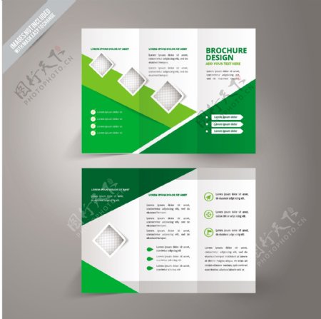 白色和绿色商业手册