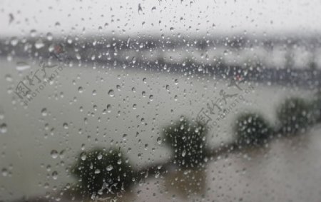 高清雨滴雨季