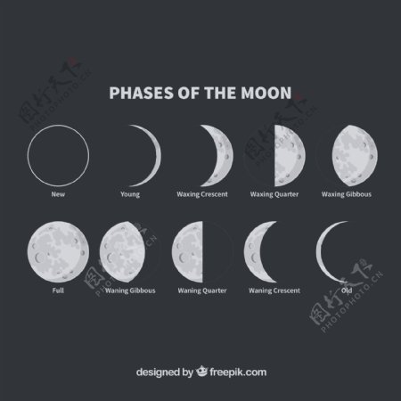 Moon阶段