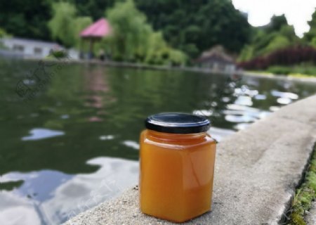 秦岭深处的土蜂蜜