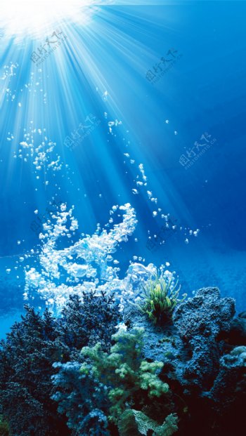 唯美蓝色珊瑚H5背景素材