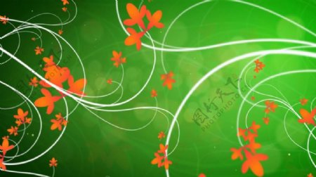 清新绿色花纹装饰背景视频素材
