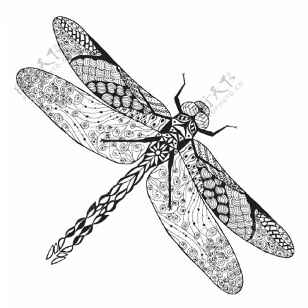 艺术时尚昆虫蜻蜓插画