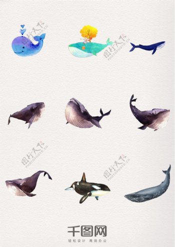 水彩鲸鱼装饰图案