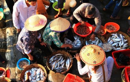 农贸市场海鲜市场海鲜鱼类