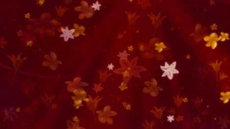 秋天红橙树叶花瓣飘落视频素材