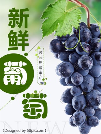 清新葡萄宣传海报