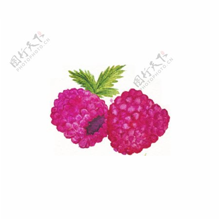 紫红色手绘卡通透明水果素材