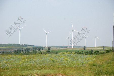风电场风机全景照片