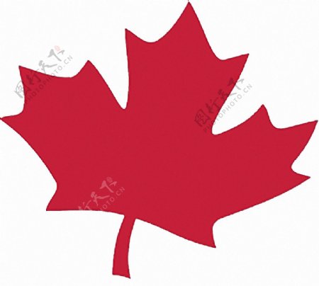 红色加拿大的枫叶免抠png透明图层素材