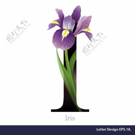 热带紫色花卉英文字母字体设计
