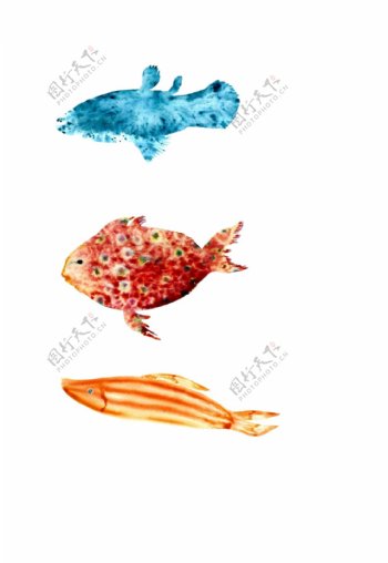 手绘彩绘三条鱼鱼类装饰画