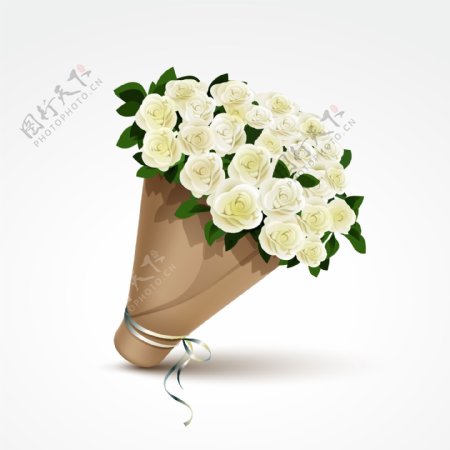 一束白色的玫瑰花插画